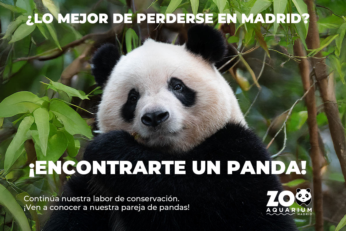 Zoo Aquarium Madrid